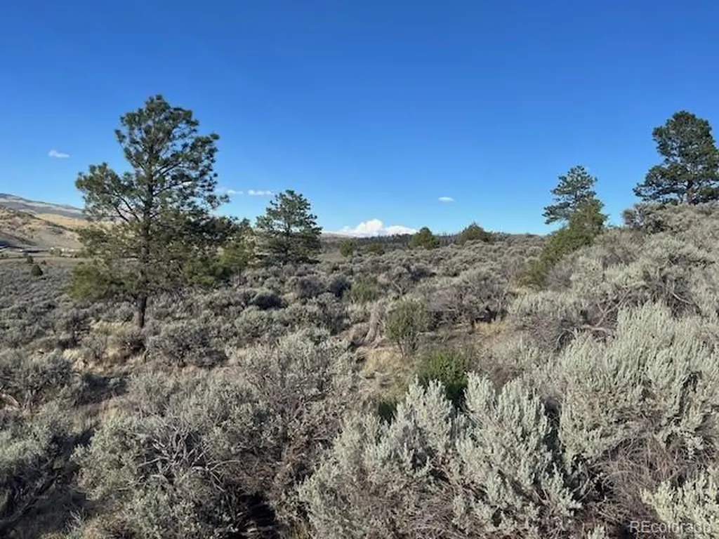 Lot 7668 Froom Road Fort Garland CO 81133