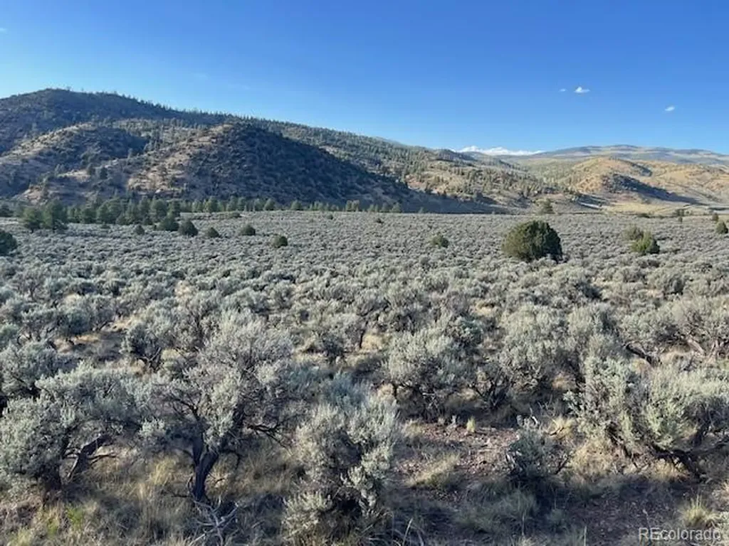 Lot 7668 Froom Road Fort Garland CO 81133