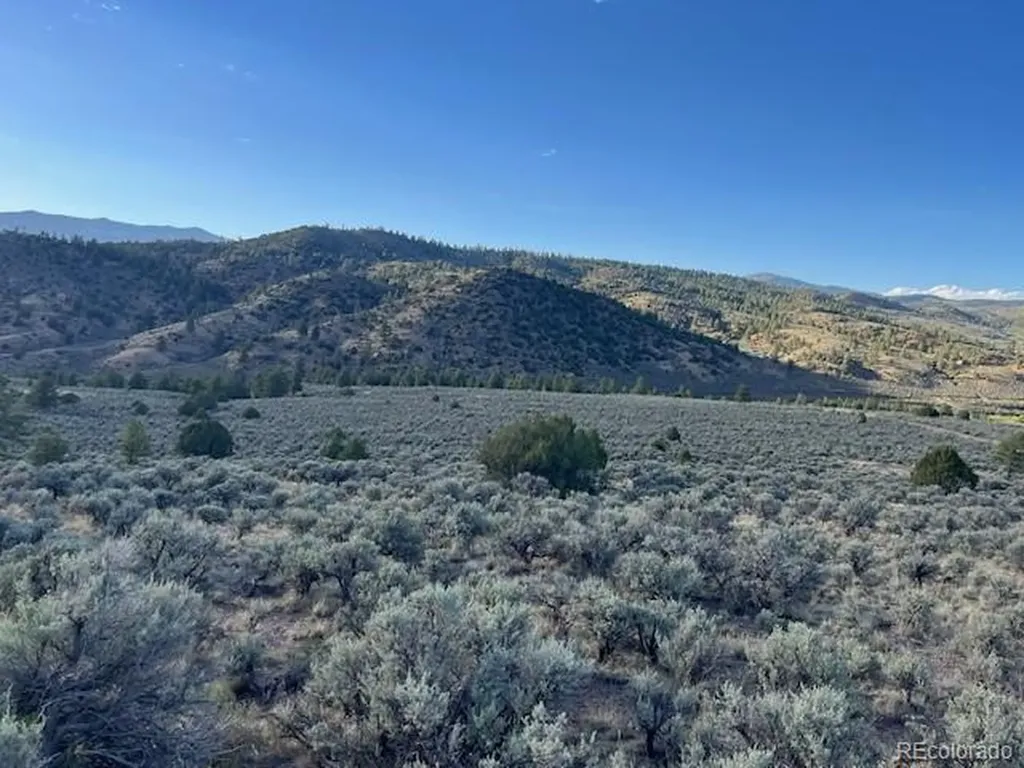 Lot 7668 Froom Road Fort Garland CO 81133