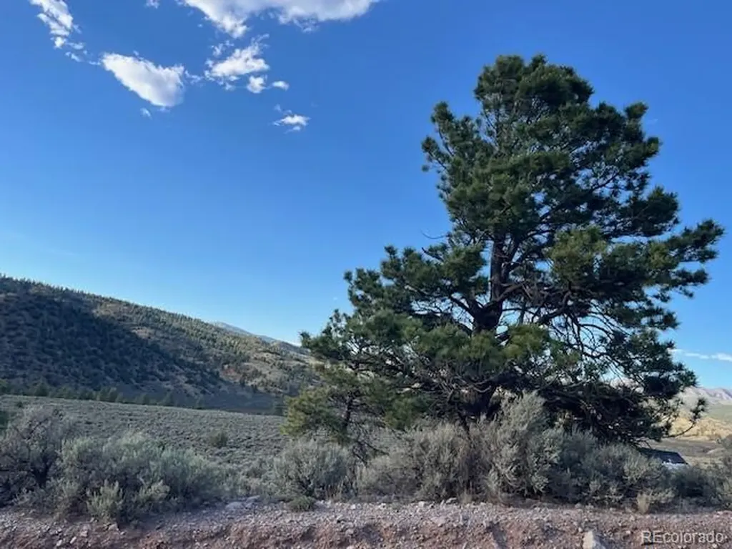 Lot 7668 Froom Road Fort Garland CO 81133