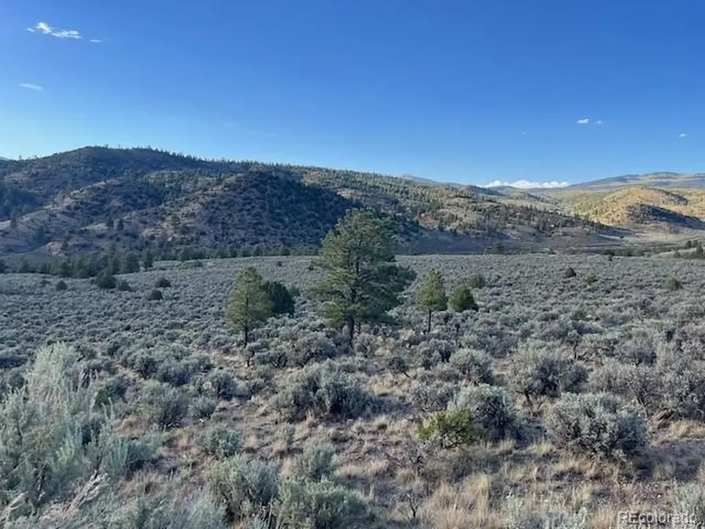 Lot 7668 Froom Road Fort Garland CO 81133