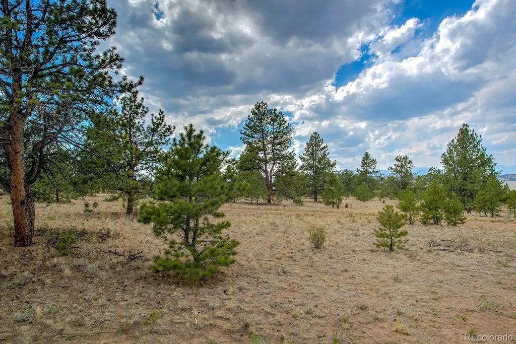 192 Maricopa Trail Hartsel CO 80449