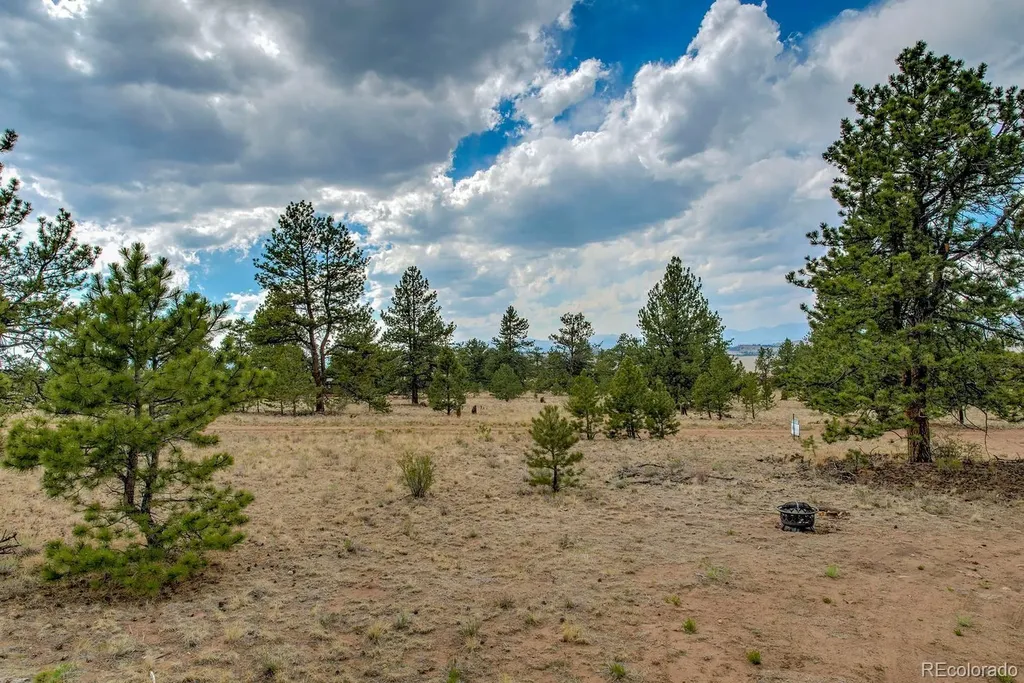 192 Maricopa Trail Hartsel CO 80449