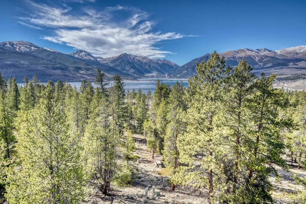 165 Reva Ridge Road Twin Lakes CO 81251