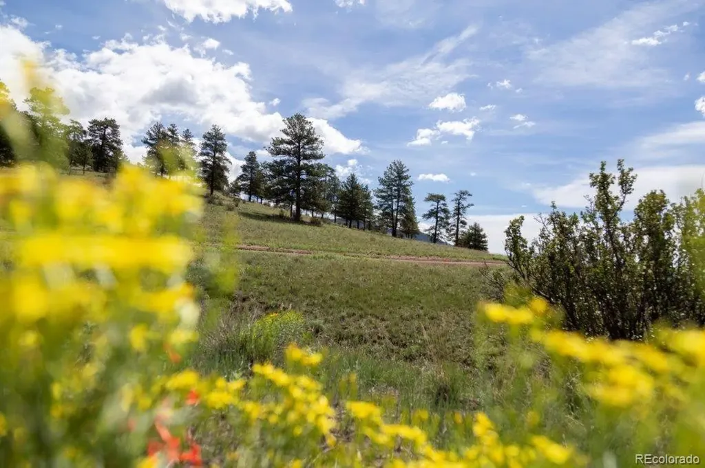 645 Cliff View Drive Creede CO 81130