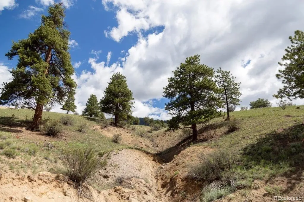 645 Cliff View Drive Creede CO 81130
