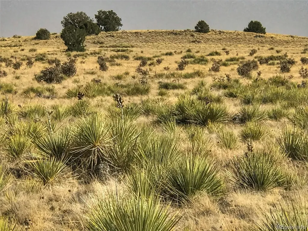 Lot 234 Turkey Ridge Ranch Walsenburg CO 81089