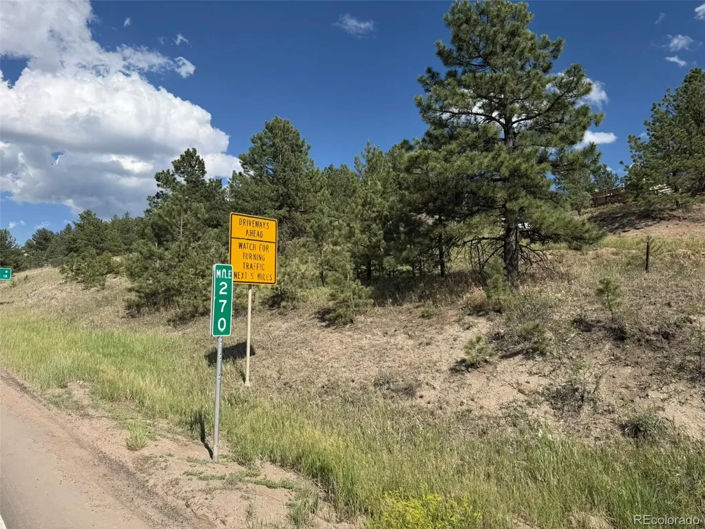 125 & 137 Hillside Drive Florissant CO 80816