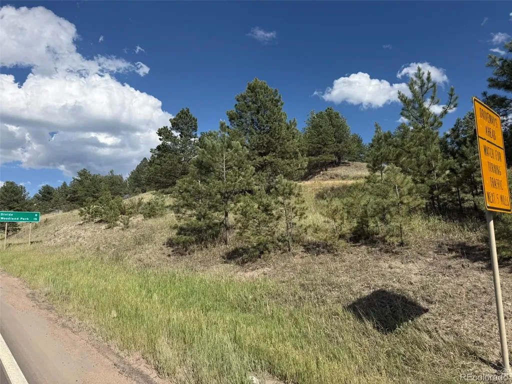 125 & 137 Hillside Drive Florissant CO 80816