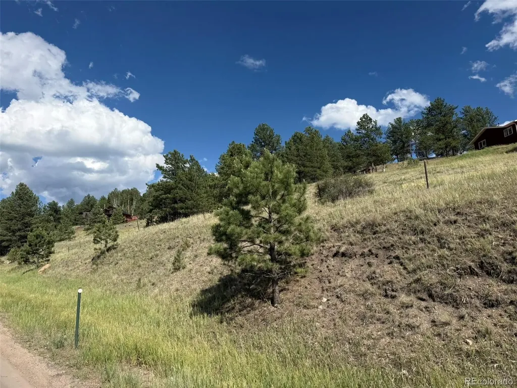 125 & 137 Hillside Drive Florissant CO 80816