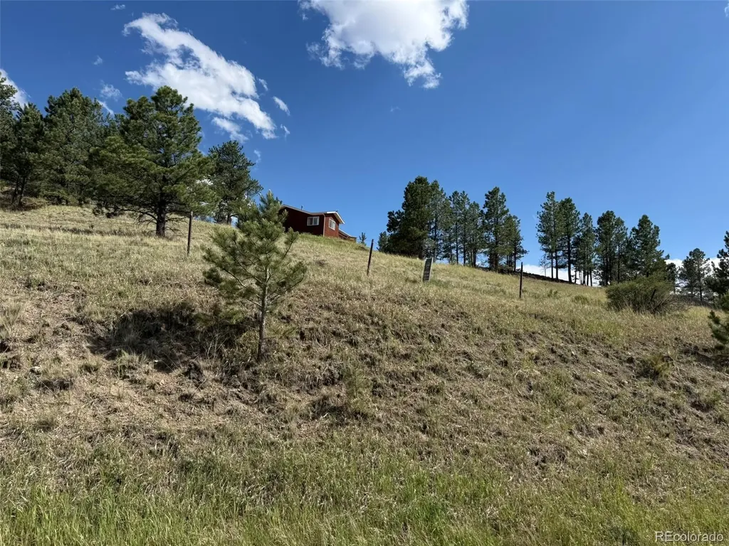 125 & 137 Hillside Drive Florissant CO 80816