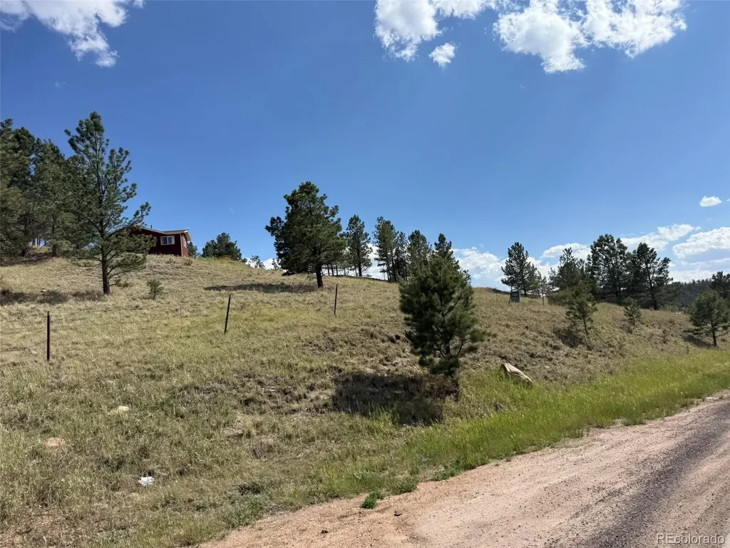 125 & 137 Hillside Drive Florissant CO 80816