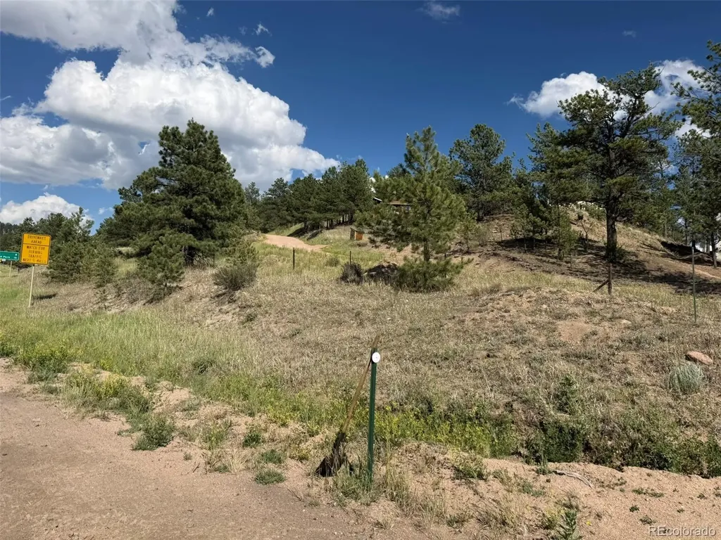 125 & 137 Hillside Drive Florissant CO 80816