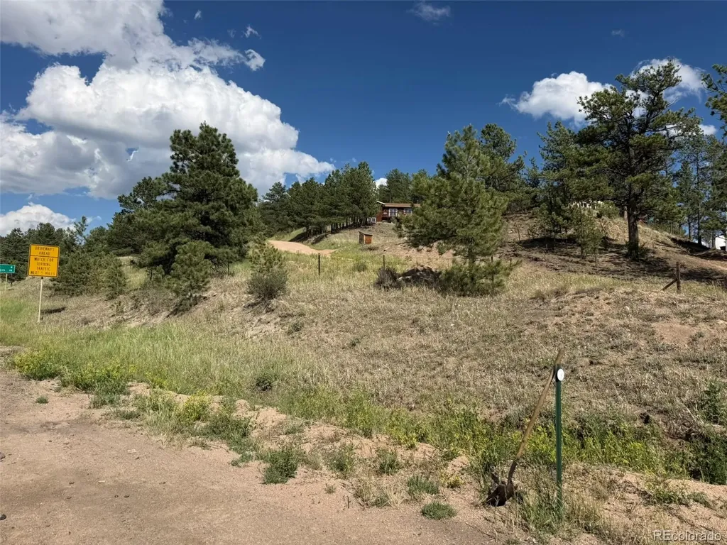 125 & 137 Hillside Drive Florissant CO 80816