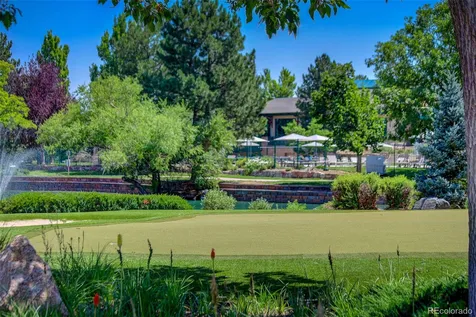 6436 Silver Mesa Drive Littleton CO 80130