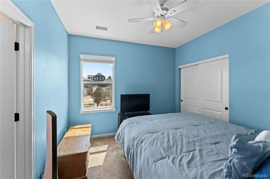 3851 Long Rifle Drive Castle Rock CO 80108