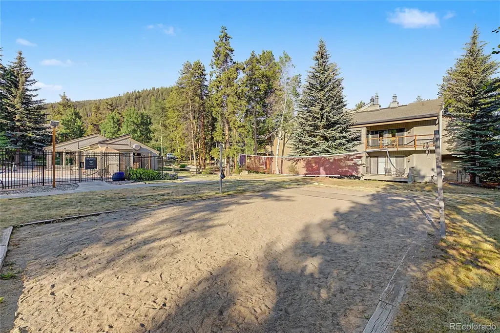 100 Wild Irishman Road Dillon CO 80435