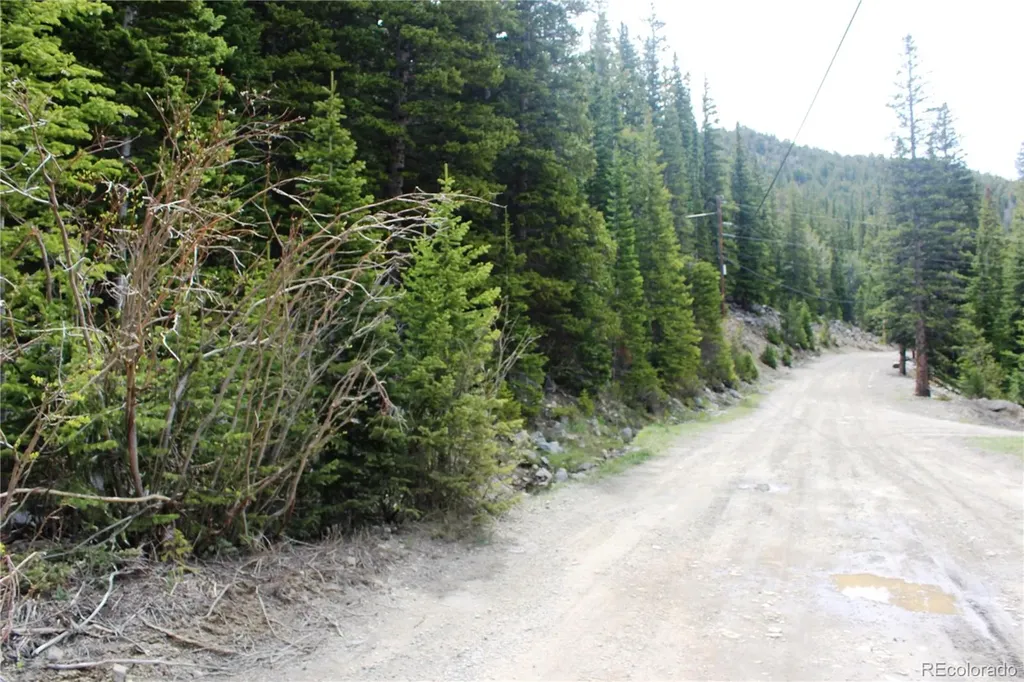 16564A Pennsylvania Idaho Springs CO 80461