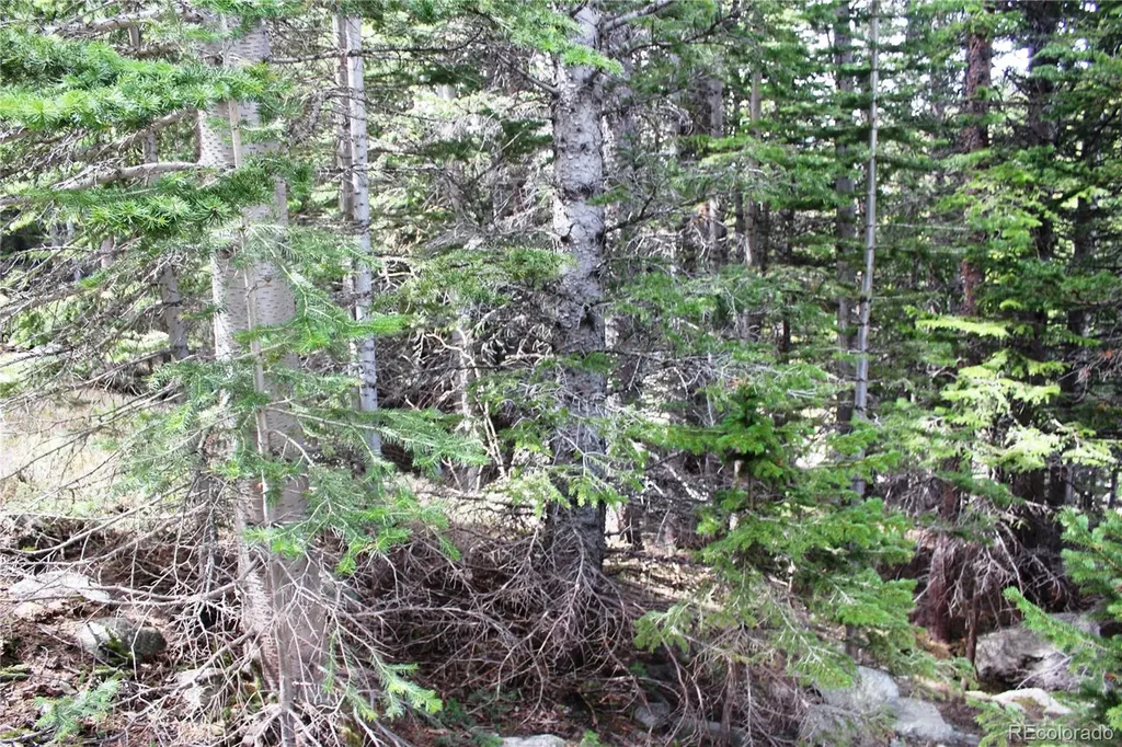 16564A Pennsylvania Idaho Springs CO 80461