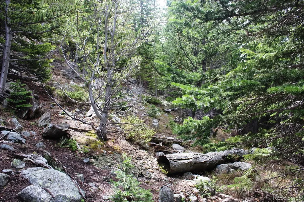 16564A Pennsylvania Idaho Springs CO 80461