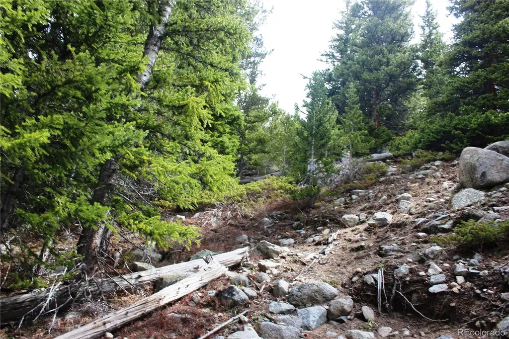 16564A Pennsylvania Idaho Springs CO 80461