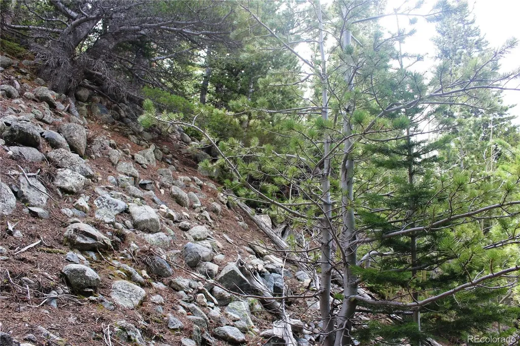 16564A Pennsylvania Idaho Springs CO 80461