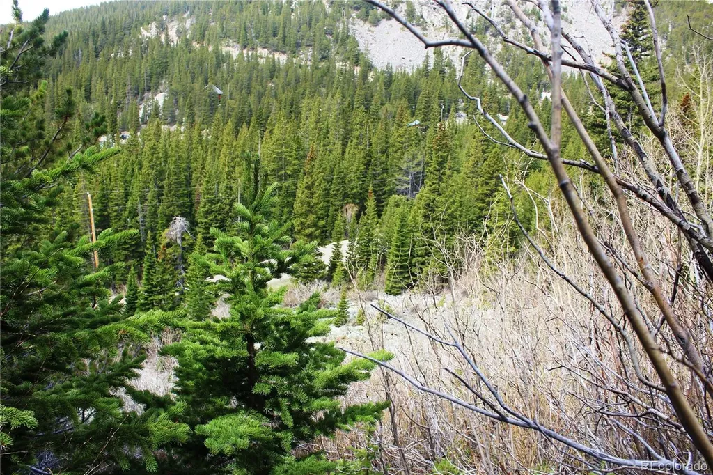 16564A Pennsylvania Idaho Springs CO 80461