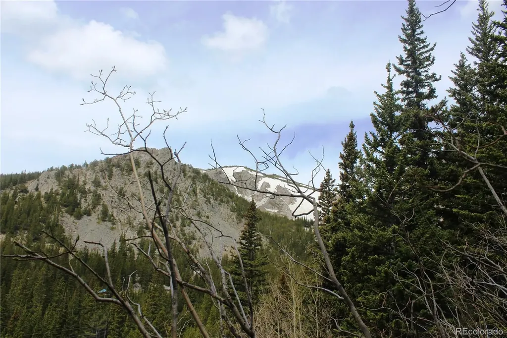 16564A Pennsylvania Idaho Springs CO 80461
