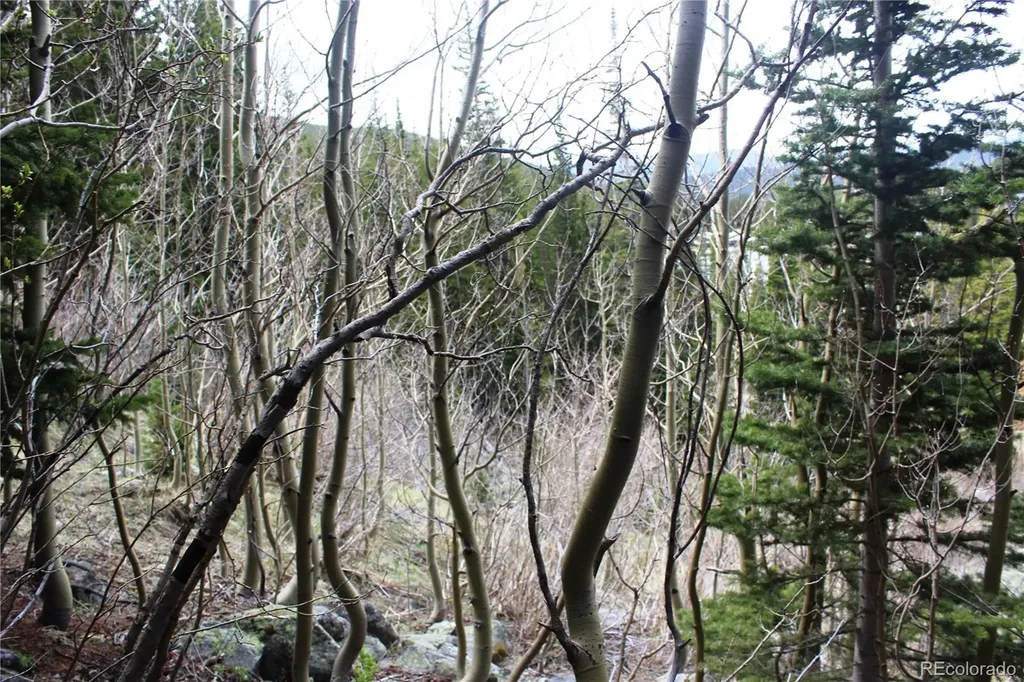 16564A Pennsylvania Idaho Springs CO 80461