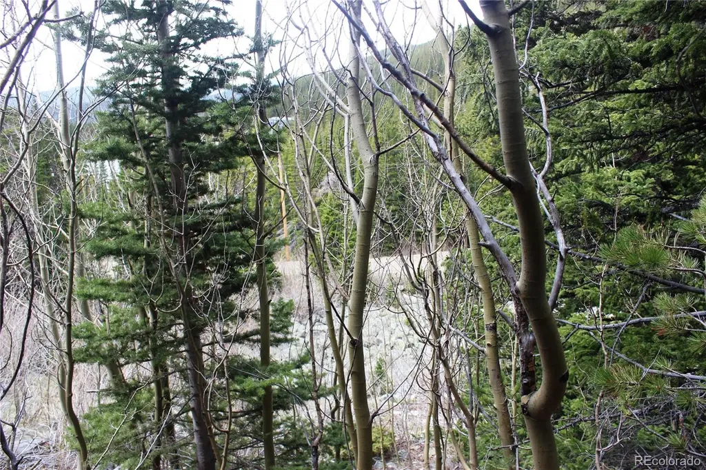 16564A Pennsylvania Idaho Springs CO 80461