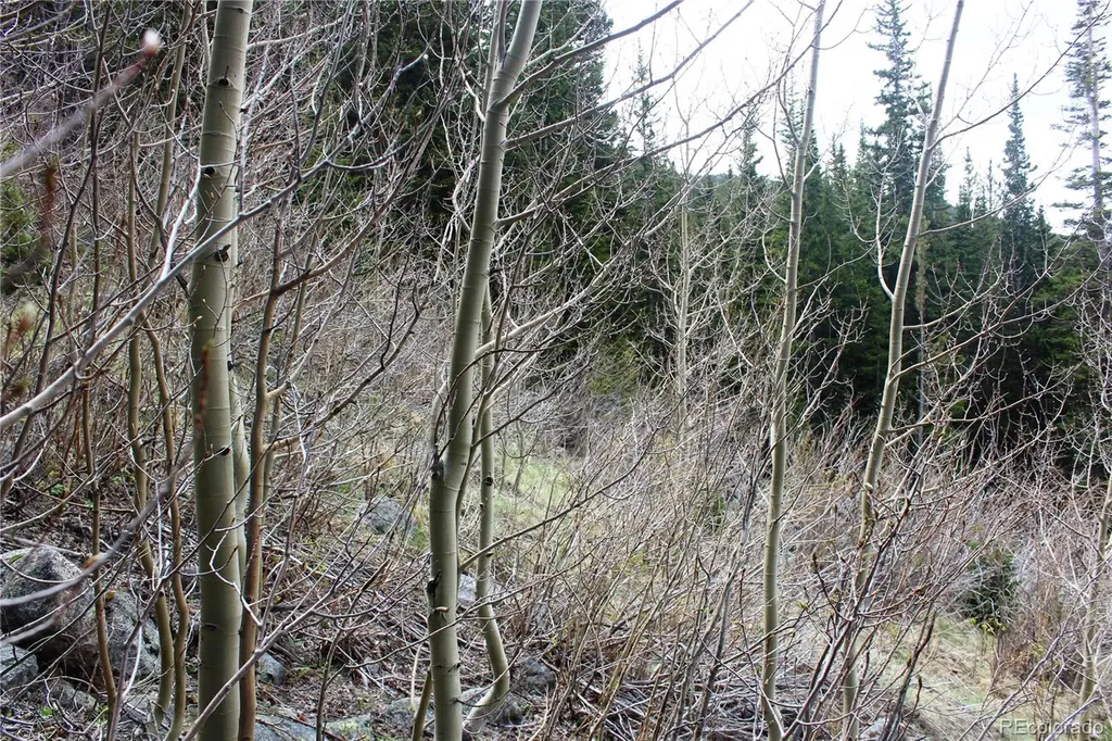 16564A Pennsylvania Idaho Springs CO 80461
