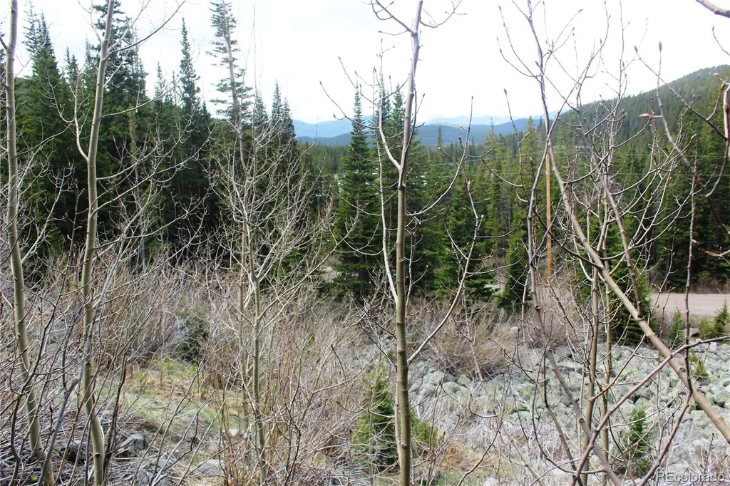 16564A Pennsylvania Idaho Springs CO 80461