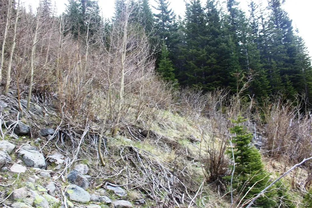 16564A Pennsylvania Idaho Springs CO 80461