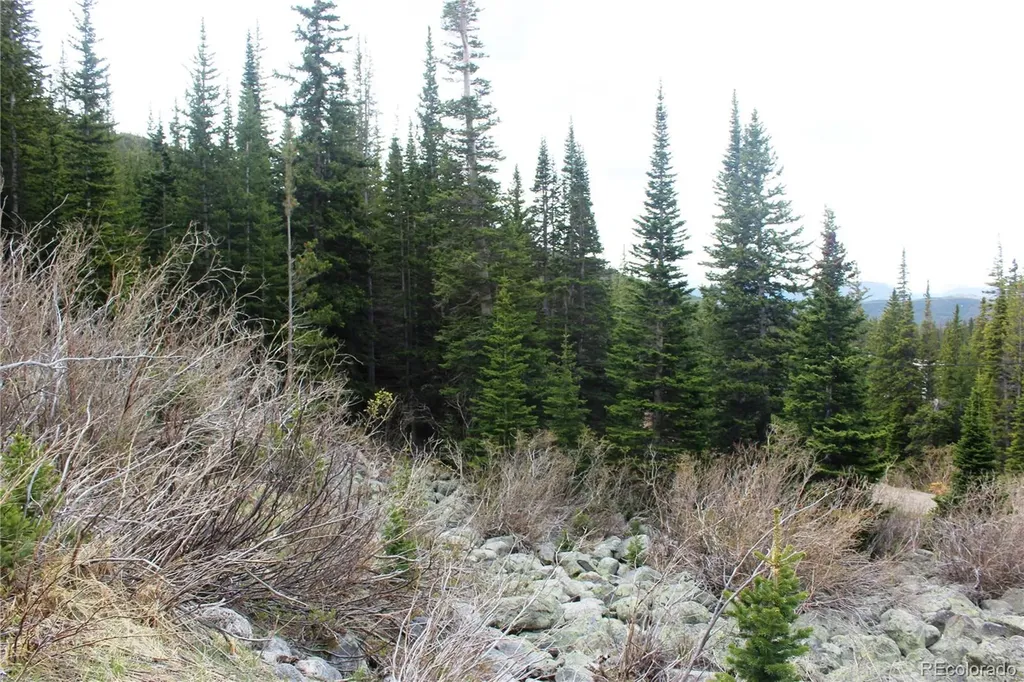 16564A Pennsylvania Idaho Springs CO 80461