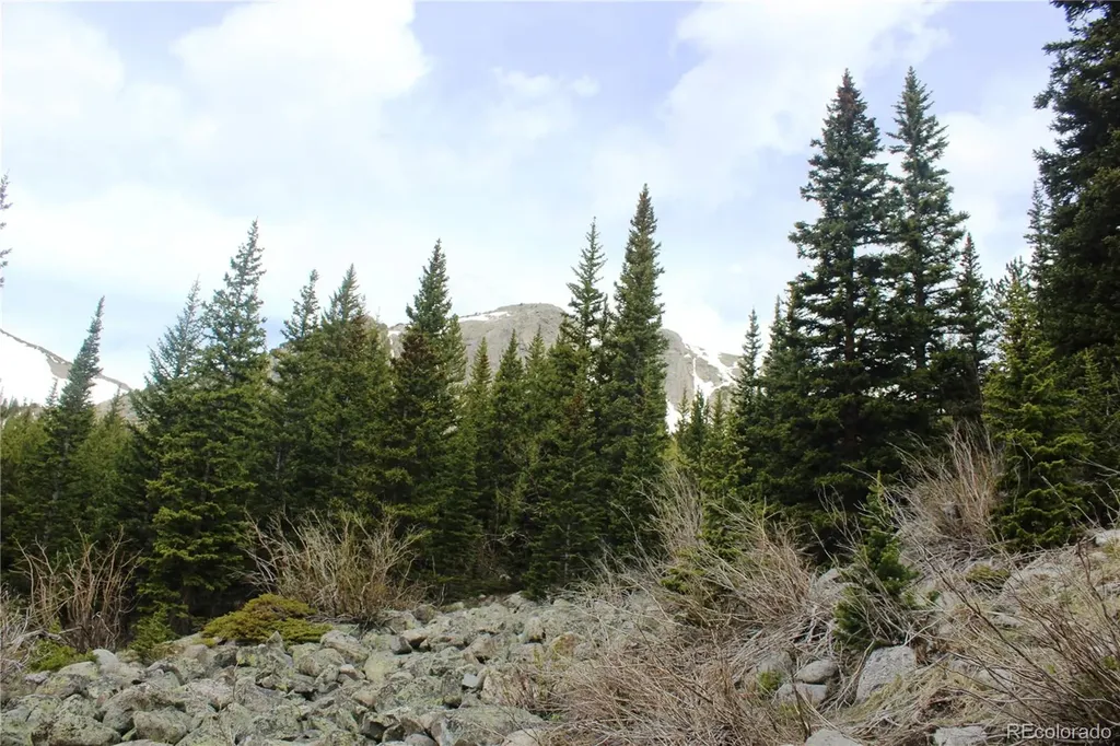 16564A Pennsylvania Idaho Springs CO 80461