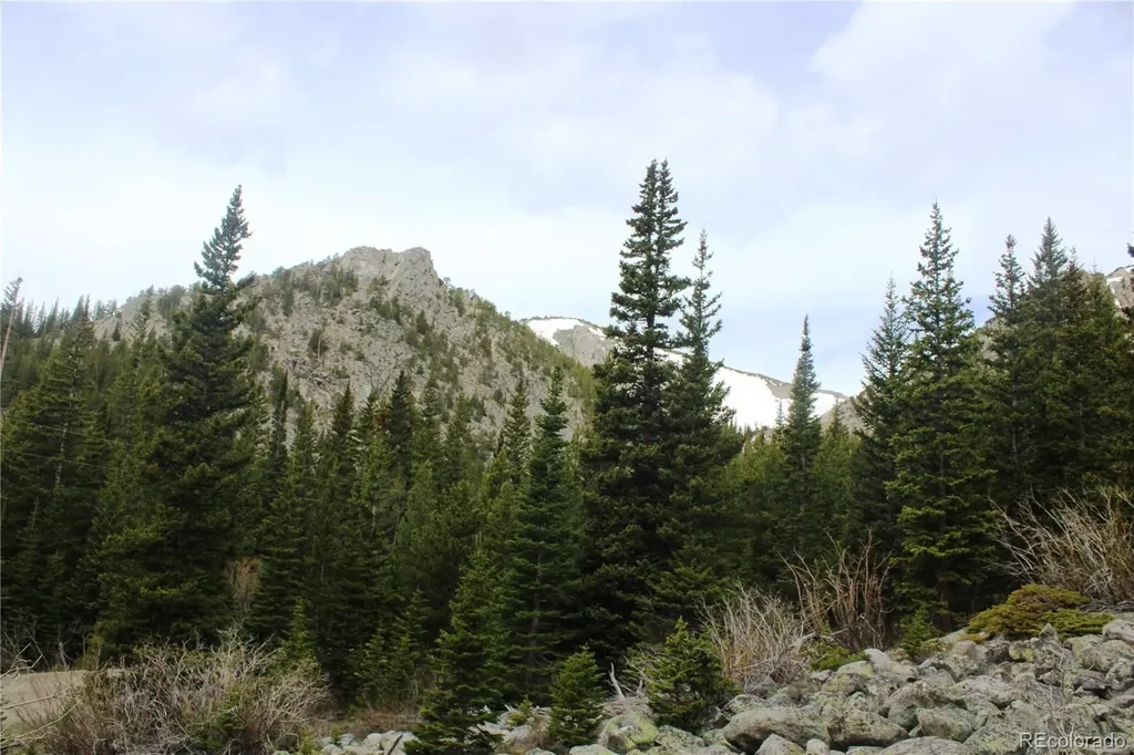 16564A Pennsylvania Idaho Springs CO 80461