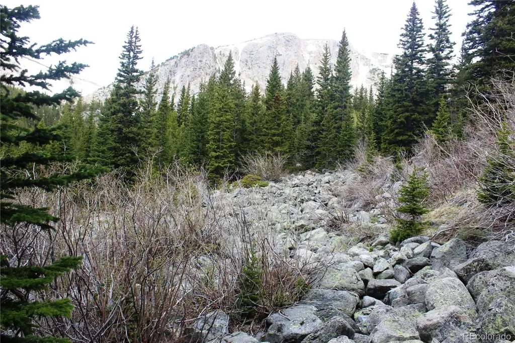 16564A Pennsylvania Idaho Springs CO 80461