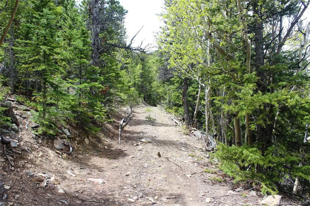 16564A Pennsylvania Idaho Springs CO 80461