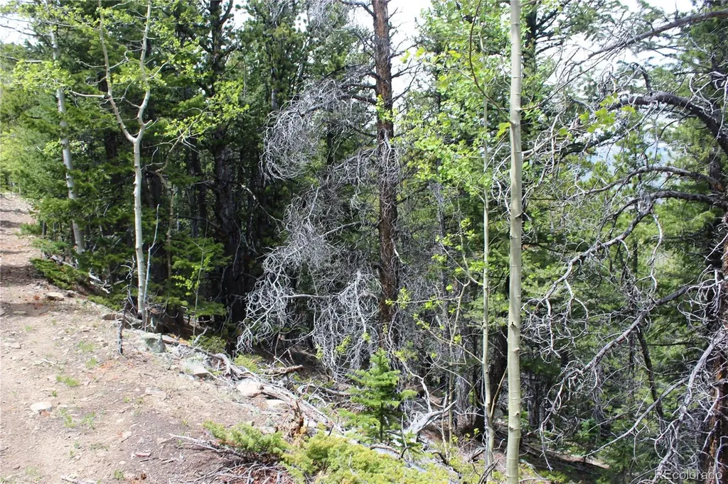 16564A Pennsylvania Idaho Springs CO 80461