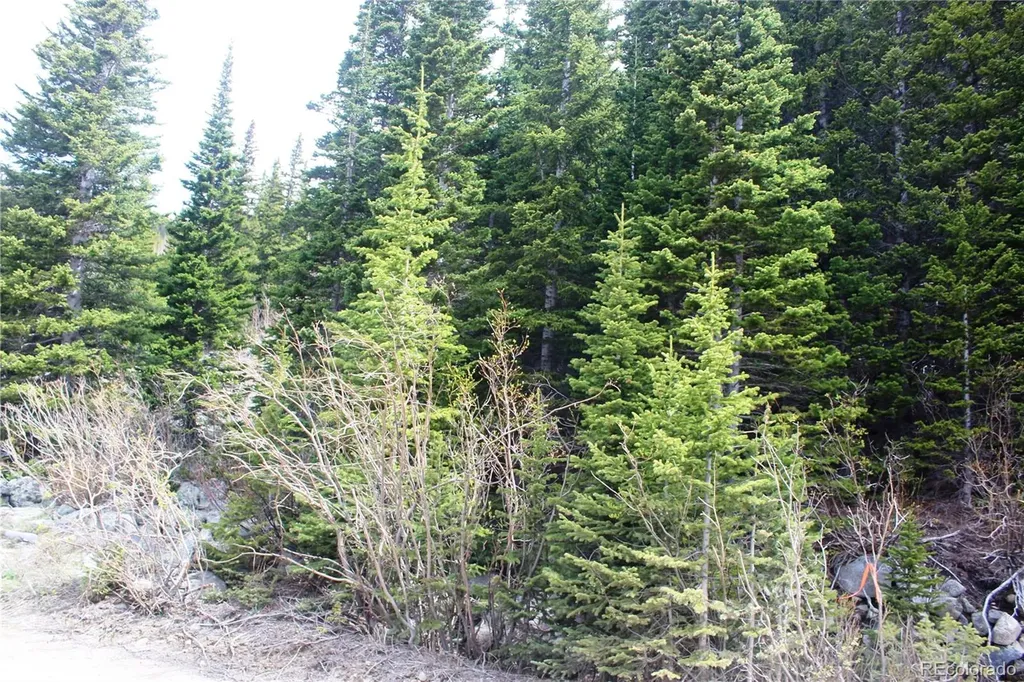 16564A Pennsylvania Idaho Springs CO 80461