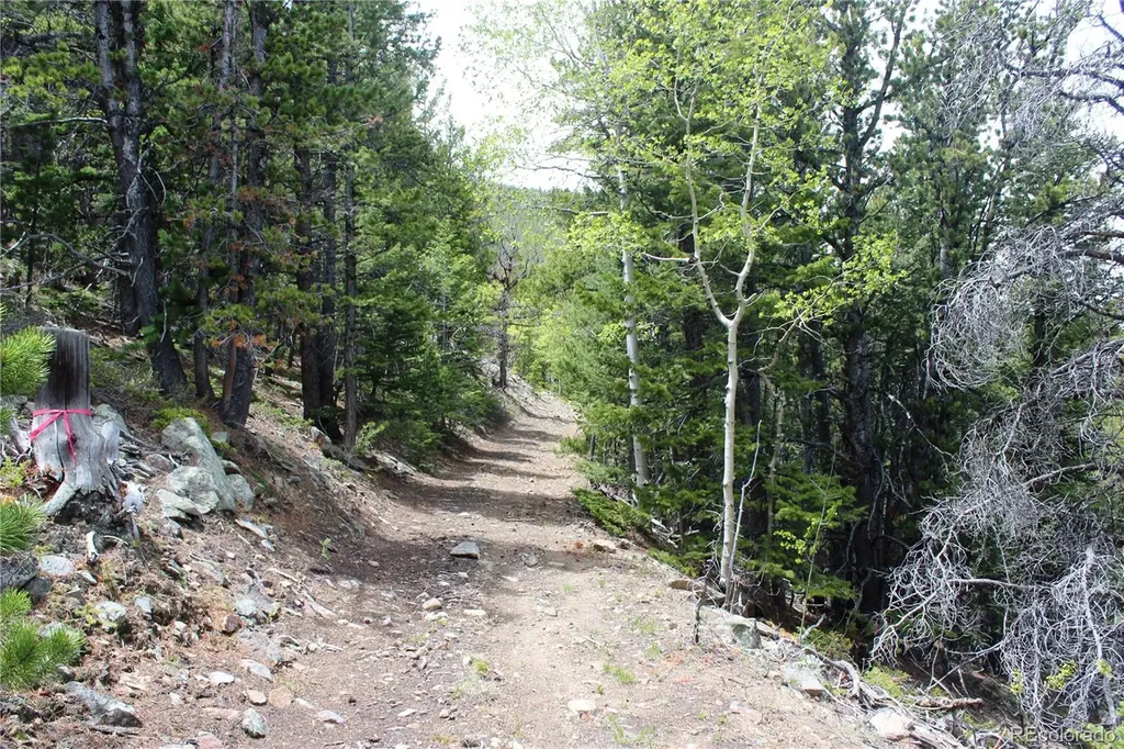 16564A Pennsylvania Idaho Springs CO 80461