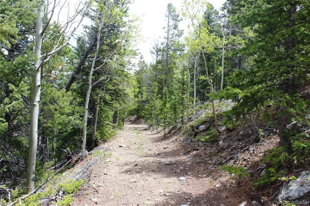 16564A Pennsylvania Idaho Springs CO 80461