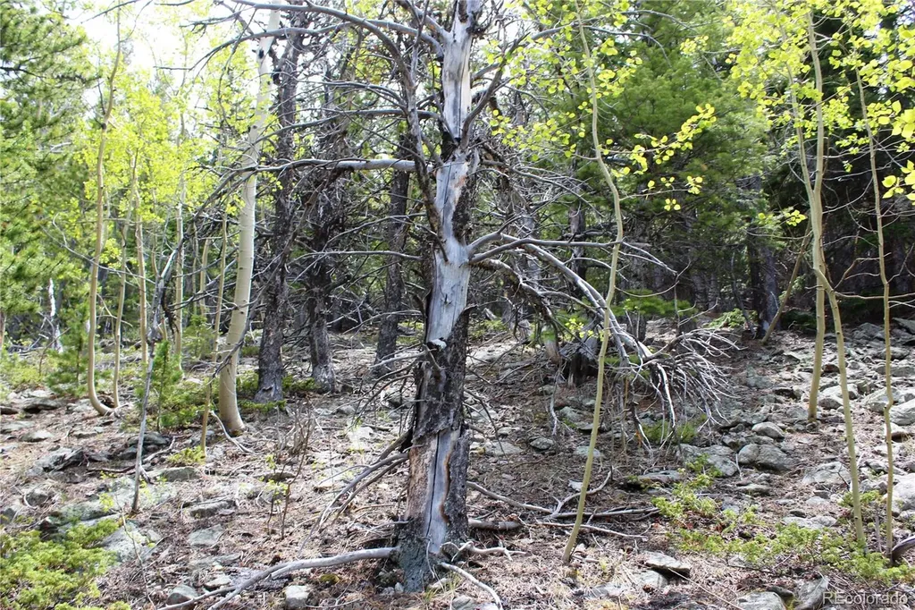 16564A Pennsylvania Idaho Springs CO 80461