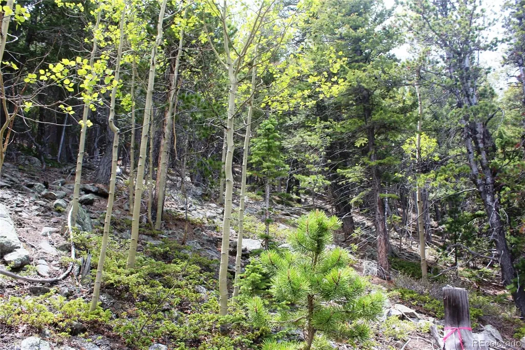 16564A Pennsylvania Idaho Springs CO 80461