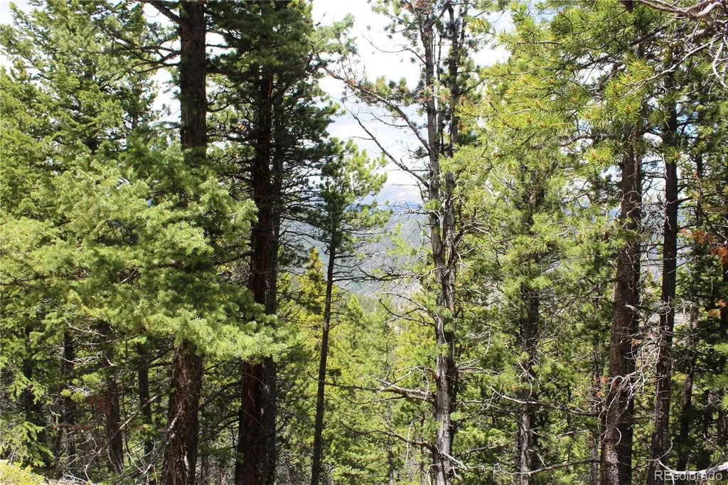 16564A Pennsylvania Idaho Springs CO 80461