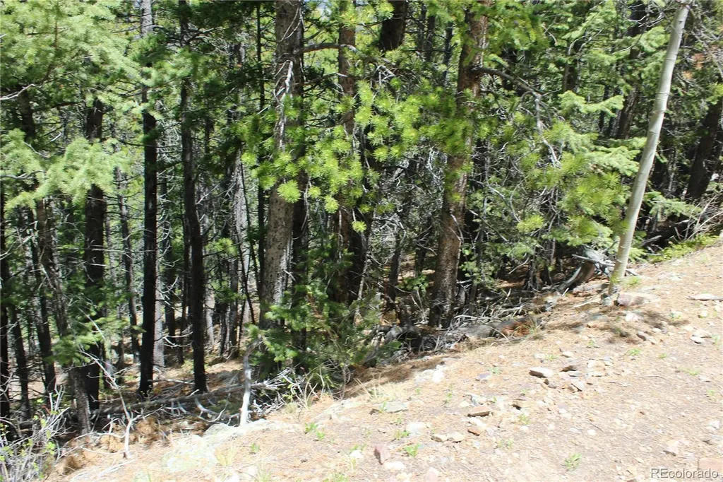 16564A Pennsylvania Idaho Springs CO 80461