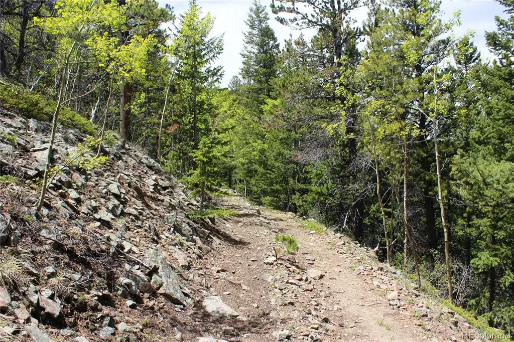16564A Pennsylvania Idaho Springs CO 80461