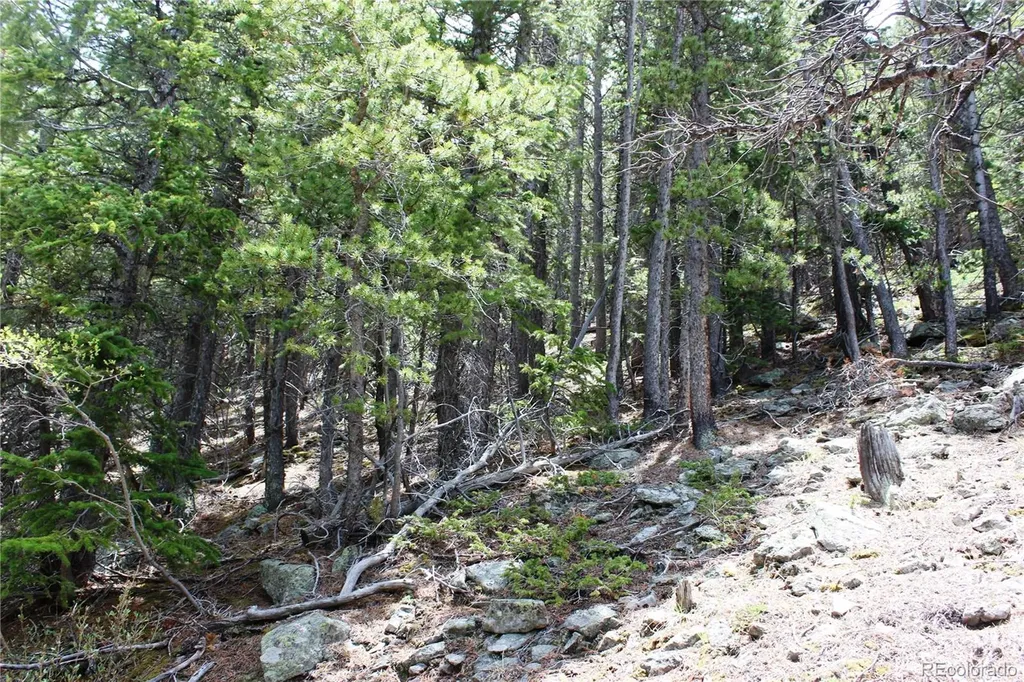 16564A Pennsylvania Idaho Springs CO 80461