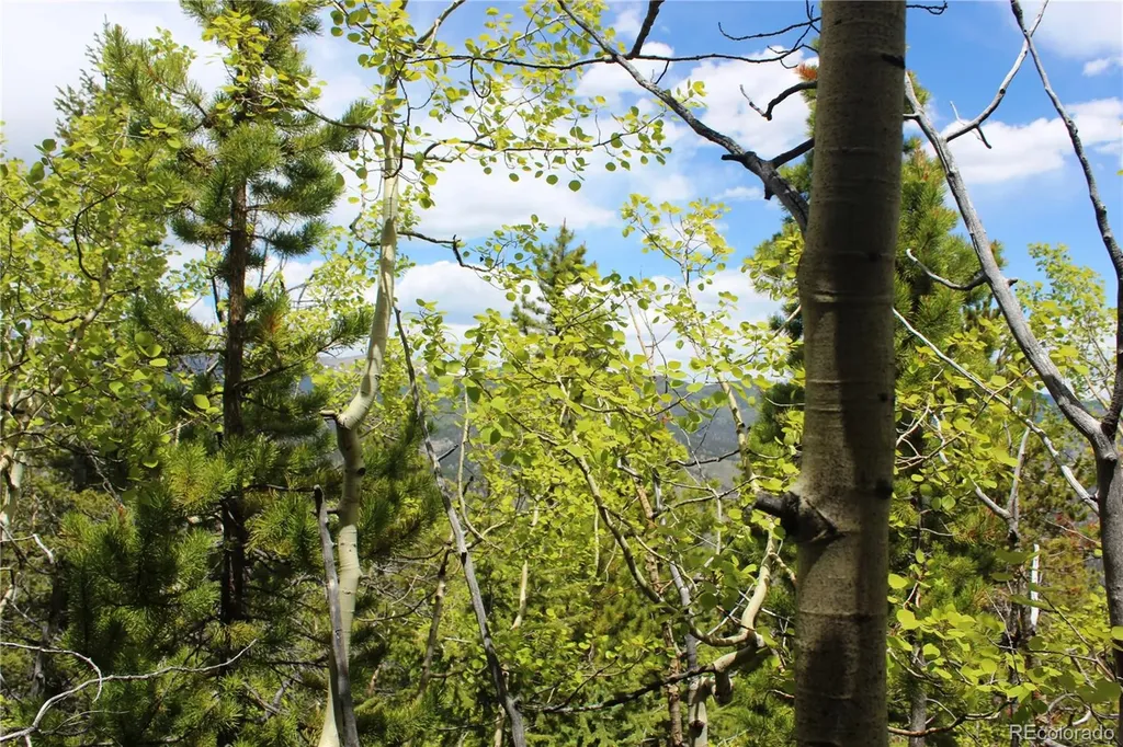 16564A Pennsylvania Idaho Springs CO 80461
