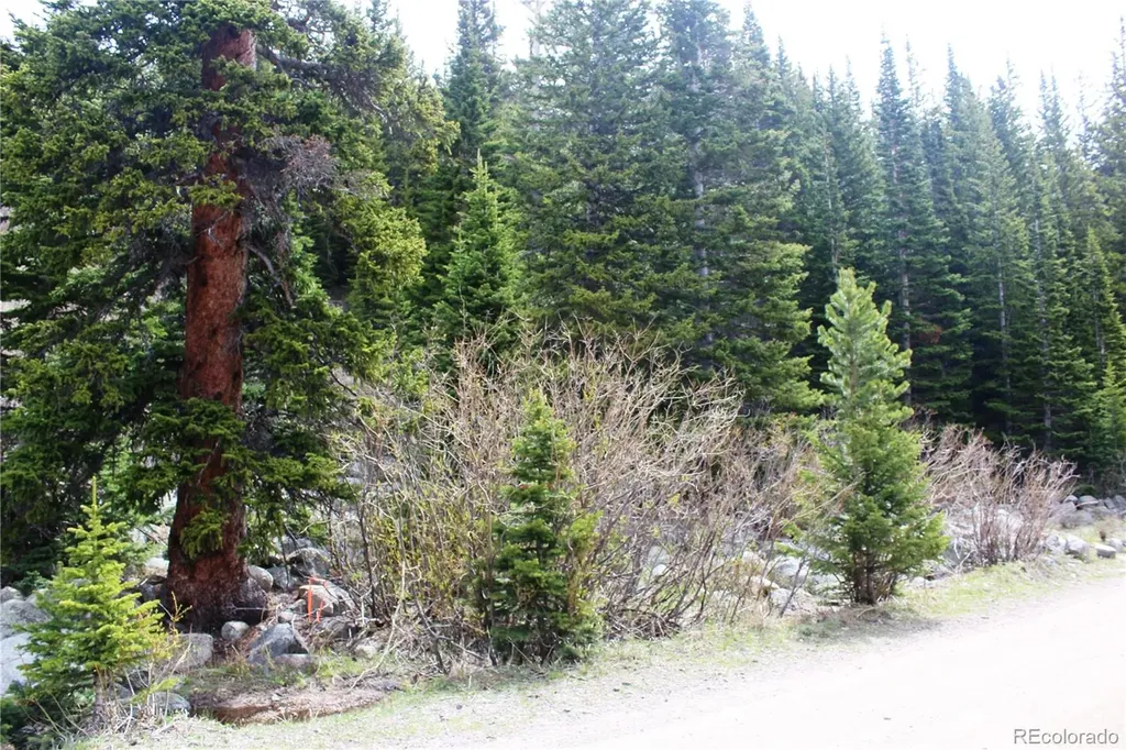 16564A Pennsylvania Idaho Springs CO 80461